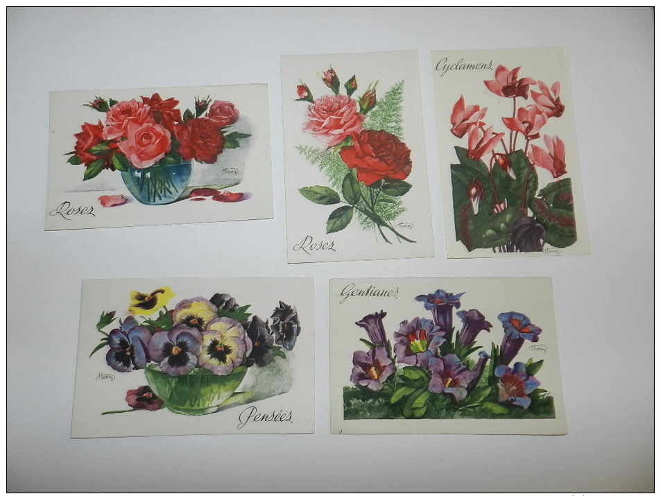 5 CARTE POSTALE HENRY EAU FORTE   - ROSES / PENSEES / GENTIANES / CYCLAMENS - Fiori