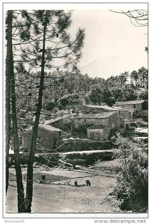 CPSM 83 LE PLAN DE LA TOUR HAMEAU DES PIERRONS - Otros & Sin Clasificación