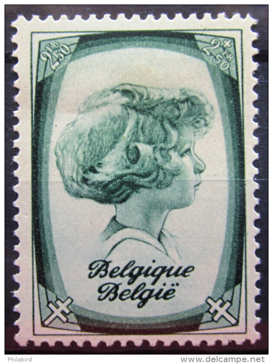 BELGIQUE             N° 494                 NEUF* - Unused Stamps