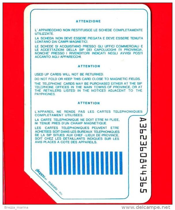 ITALIA - Usata - Scheda Telefonica - SIP - Golden P49 - C&C 1056 - Terzo Gruppo Sida - Publiques Précurseurs