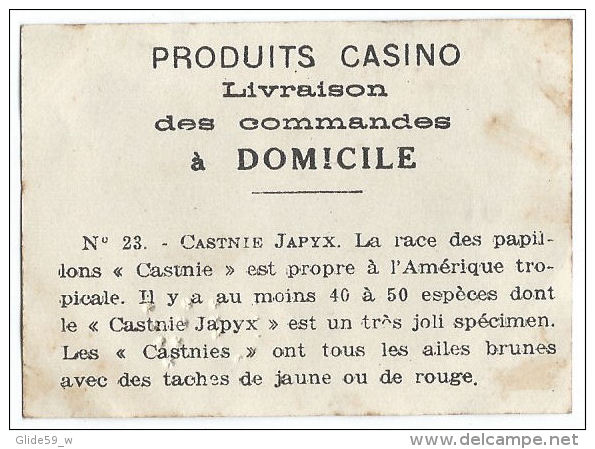 Image Chocolat CASINO - Série Papillons - N° 23 - Castnie Japyx - Autres & Non Classés