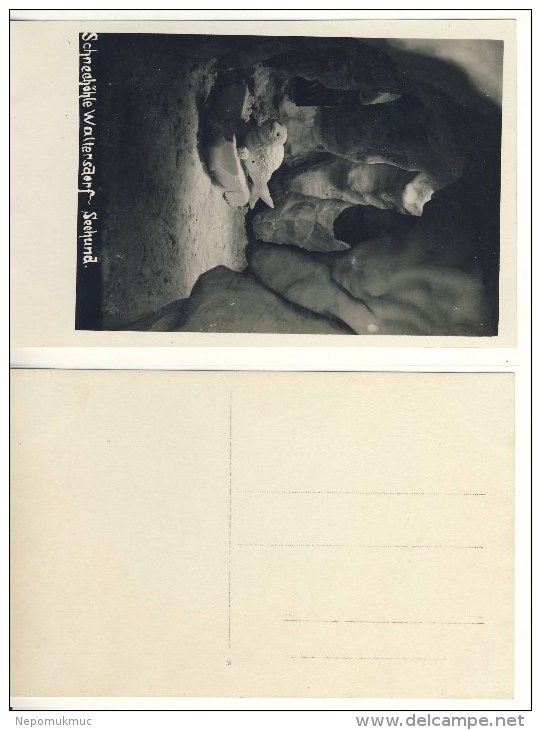 AK Waltersdorf Schneehöhle Seehund Nicht Gel. Ca. 1920er S/w (324-AK360) - Grossschoenau (Sachsen)