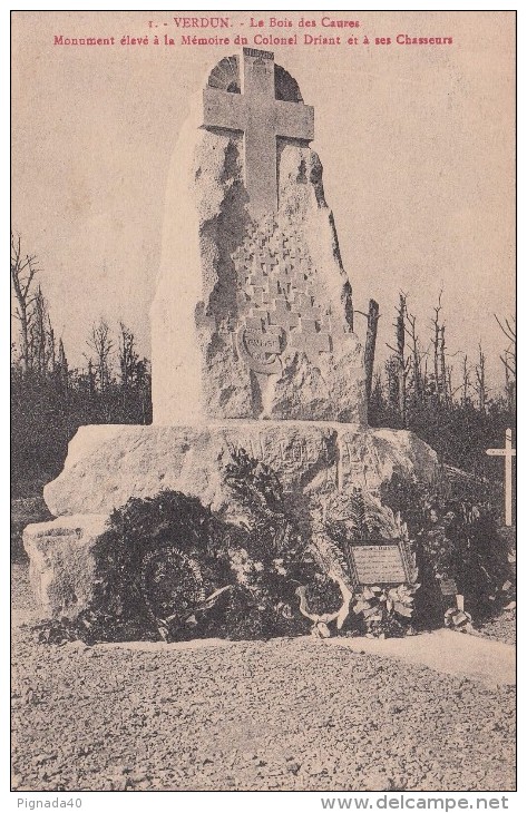 Cp , 55 , VERDUN , Le Bois Des Caures , Monument élevé à La Mémoire Du Colonel Driant Et à Ses Chasseurs - Verdun