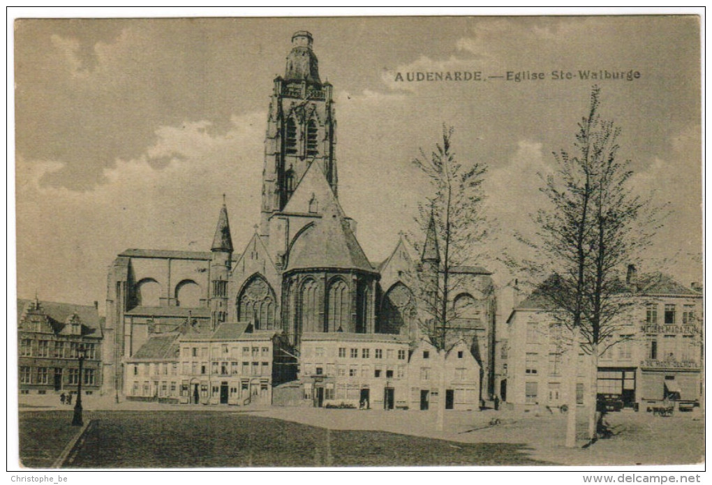 Oudenaarde, Audenarde, Eglise Ste Walburge (pk21720) - Oudenaarde