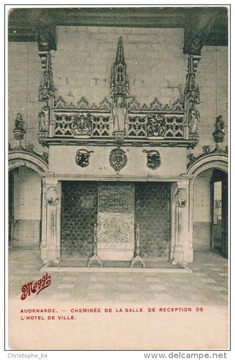 Oudenaarde, Audenarde, Cheminée De La Salle De Reception De L'hotel De Ville (pk21725) - Oudenaarde