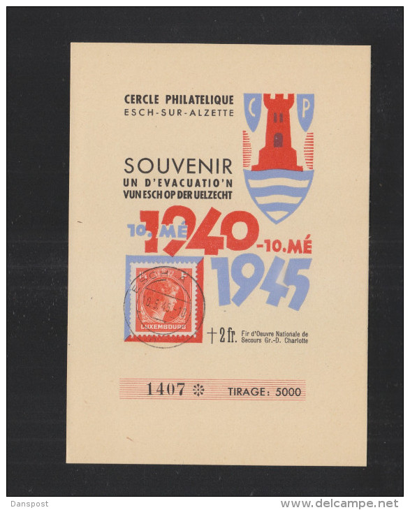 Sonder- PK 1945 Souvenir D'Evacuation - Cartes Commémoratives