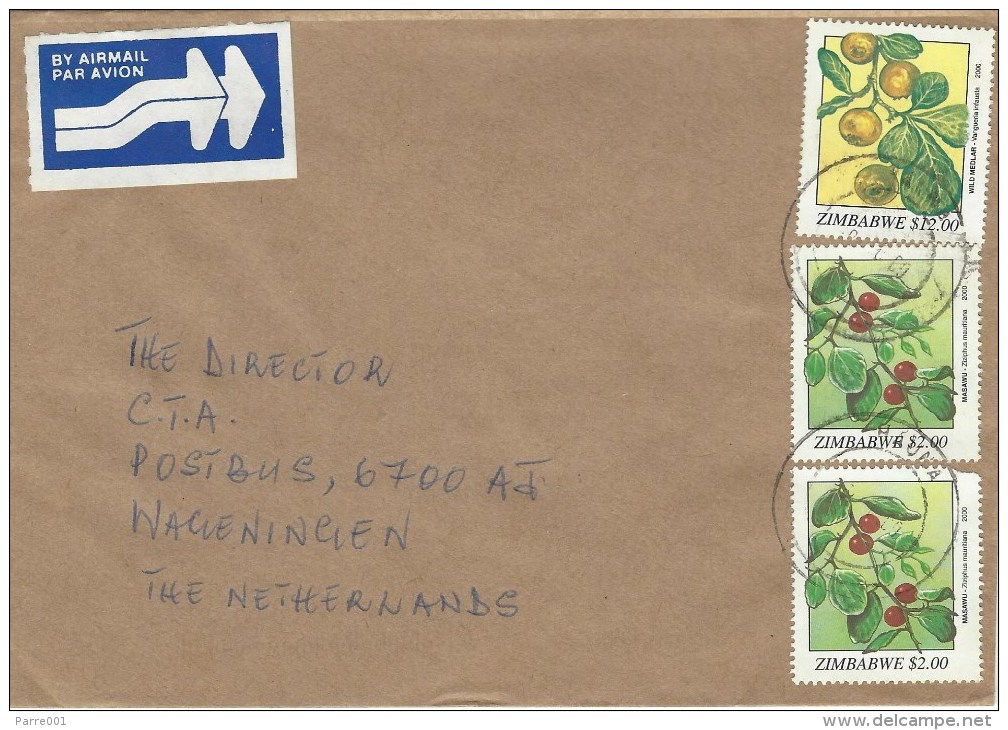 Zimbabwe 2000 Hauna Fruit Tree $2 Medlar Vangueria Infausta $12 Cover - Zimbabwe (1980-...)