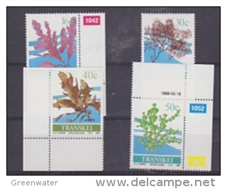 Transkei 1988 Seaweed 4v ** Mnh (24914) - Transkei