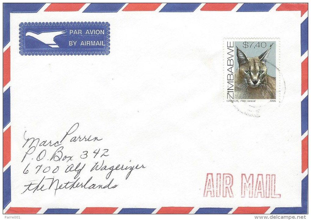 Zimbabwe 1999 Gweru Caracal Cat Cover - Roofkatten