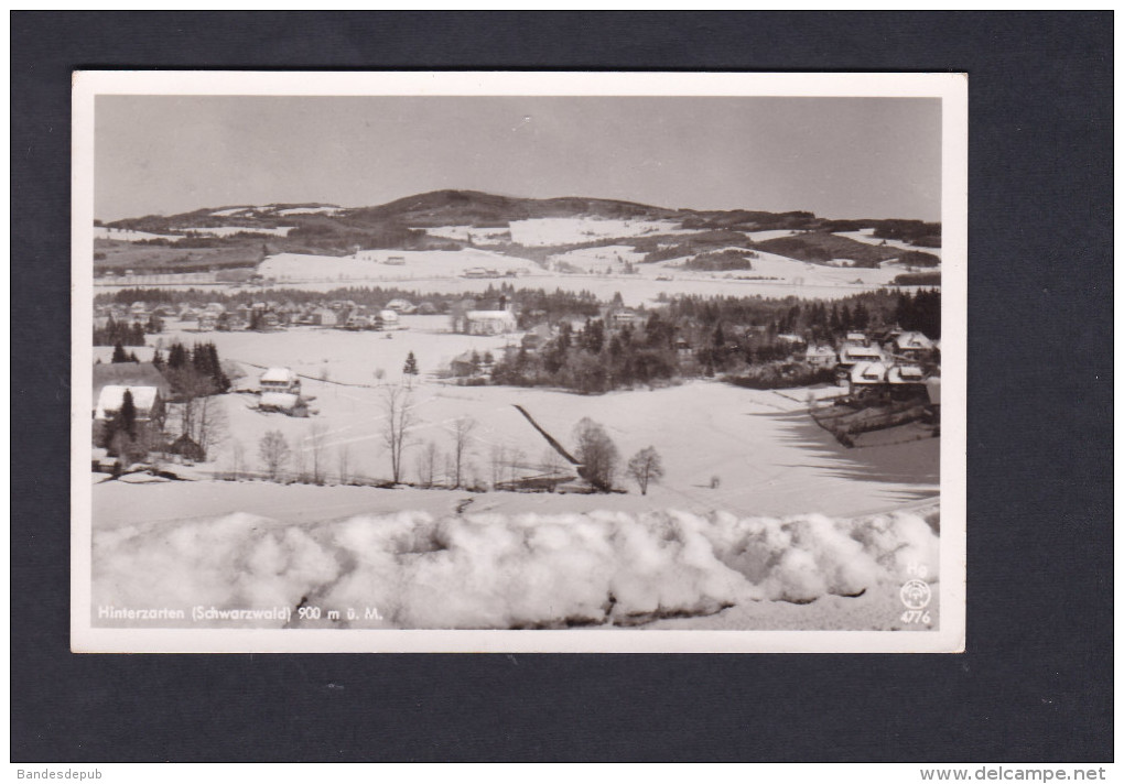 AK - Hinterzarten ( Schwarzwald ) ( Ed Franz ) - Hinterzarten