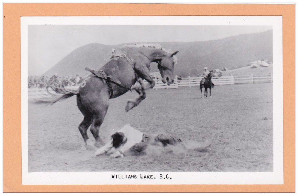 Rodeo, 1940´s, Stampede Grounds,  WILLIAMS LAKE, BC, CARIBOO, BRITISH COLUMBIA Postcard, CANADA Post Card, Carte Postale - Other & Unclassified
