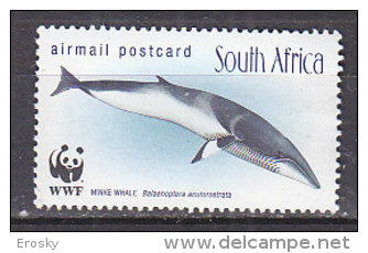 D0206 - AFRIQUE DU SUD AERIENNE Yv N°28 ** WWF - Posta Aerea