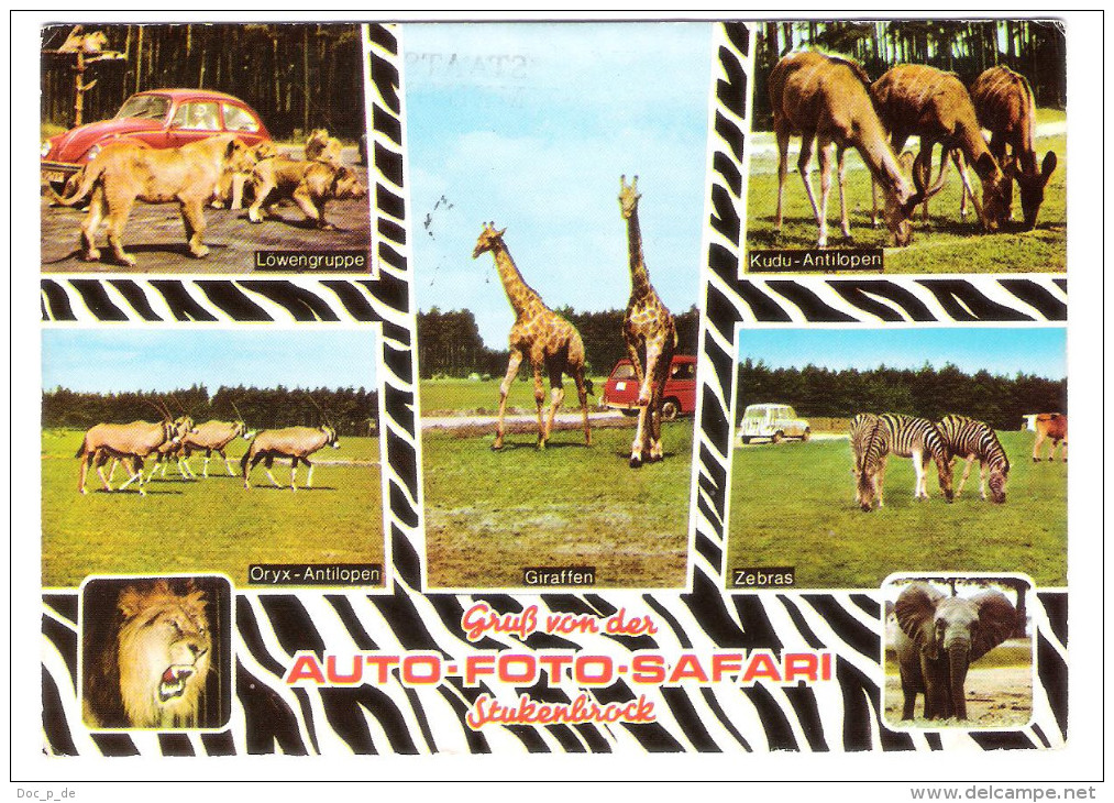 Germany - Stukenbrock In Westfalen - Zoo - Tierpark - Safari Park - Elefant - Zebra - Löwe - Giraffe - Steinheim