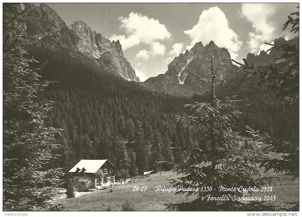 CADORE  DOLOMITI  BELLUNO  Rifugio Padova  Monte Cridola  Forcella Scodavacca  Timbro CAI - Belluno