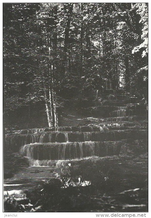 - CPM - ARC-EN-BARROIS --DOMAINE D'ETUF - LA CASCADE PETRIFIANTE -- - Arc En Barrois