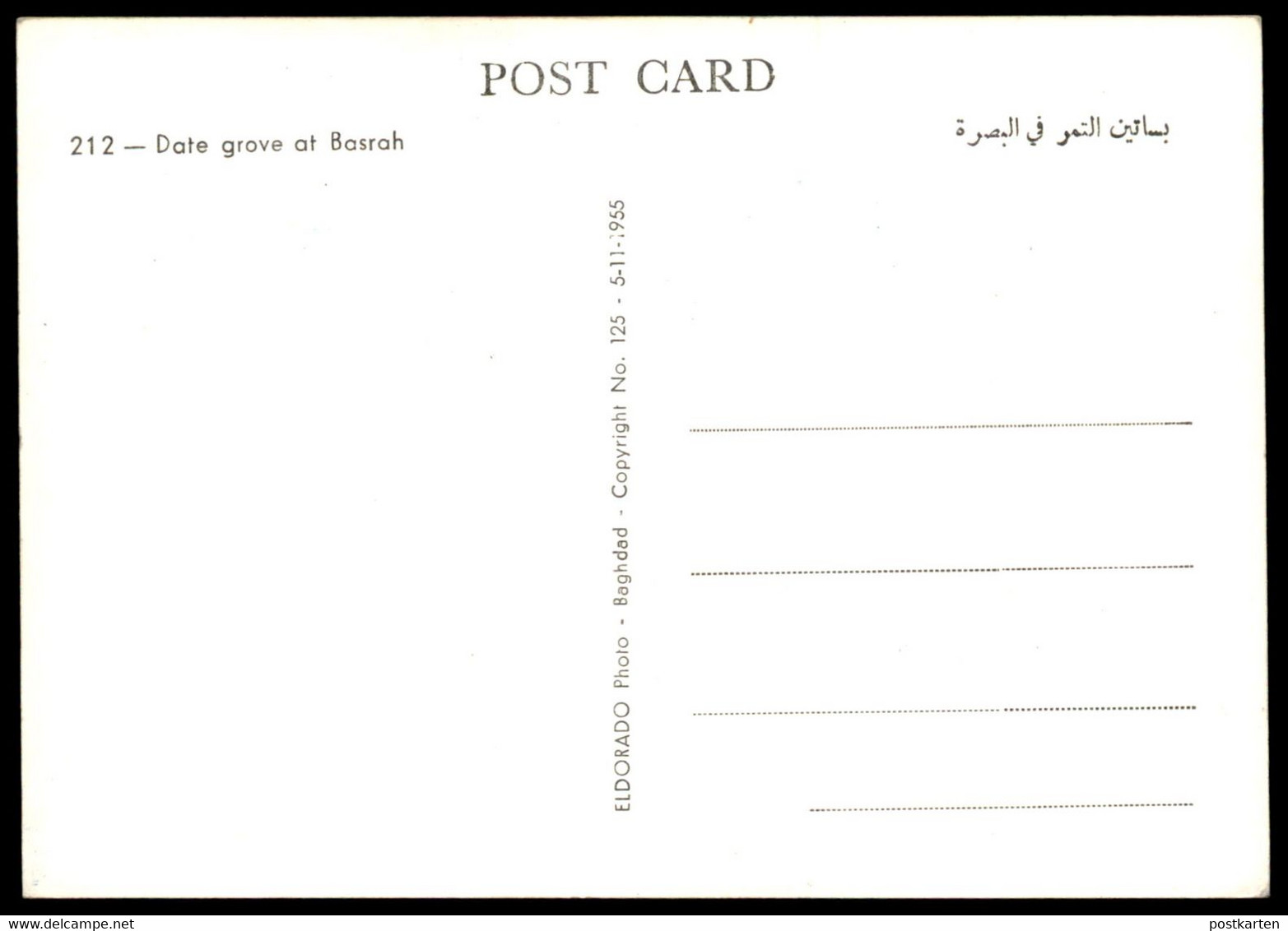 ÄLTERE POSTKARTE BASRAH DATE GROVE Basra Irak Iraq Garden Garten Cpa Postcard AK Ansichtskarte - Iraq