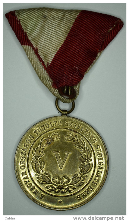 Hongrie Hungary Ungarn Médaille Medal 1884 - 1904 "The Hungarian National Fire Service Association - Autres & Non Classés