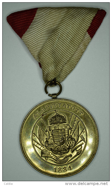 Hongrie Hungary Ungarn Médaille Medal 1884 - 1904 "The Hungarian National Fire Service Association - Autres & Non Classés