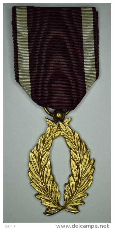 Belgique Belgium " Order Of The Crown Golden Palms " 1908 Gold Plated - Belgique