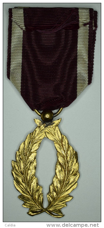 Belgique Belgium " Order Of The Crown Golden Palms " 1908 Gold Plated - Belgio