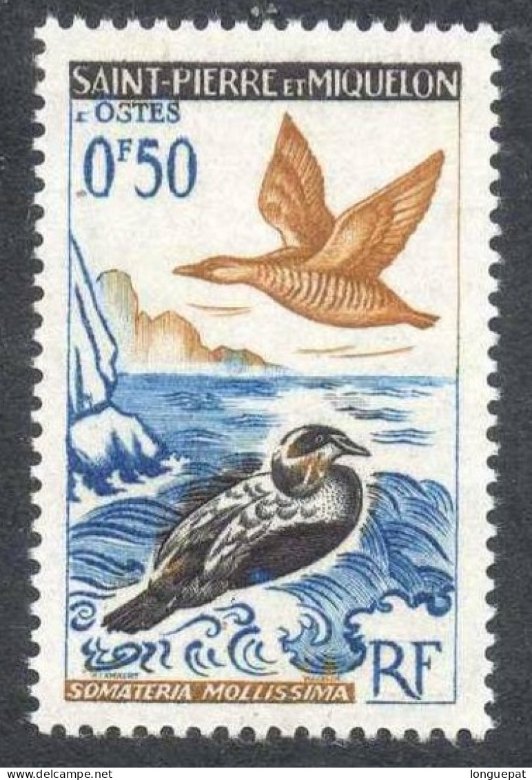 SAINT-PIERRE Et MIQUELON : Eiders - Oiseau - Canard - - Unused Stamps