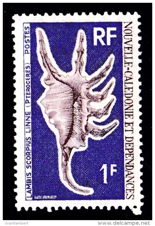 New Caledonia 1968 Sea Shells 1f MNH  SG 444 - Neufs