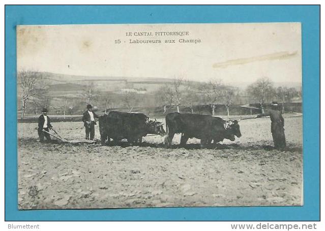 CPA 15 - LE CANTAL PITTORESQUE - Paysans Laboureurs Aux Champs Charrues - Autres & Non Classés