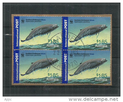 AUSTRALIE. Southern Bottlenose Whale. WWF. Un Bloc De 4 Oblitérés Sur Fragment NO CTO, Hautes Faciales - Oblitérés