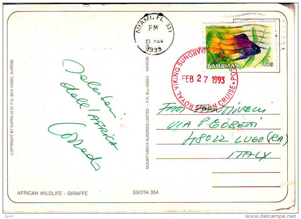 A Fish 45c 1990 Post Mark Paquebot, Stamp Of Bahamas On Postcard - Bahamas (1973-...)