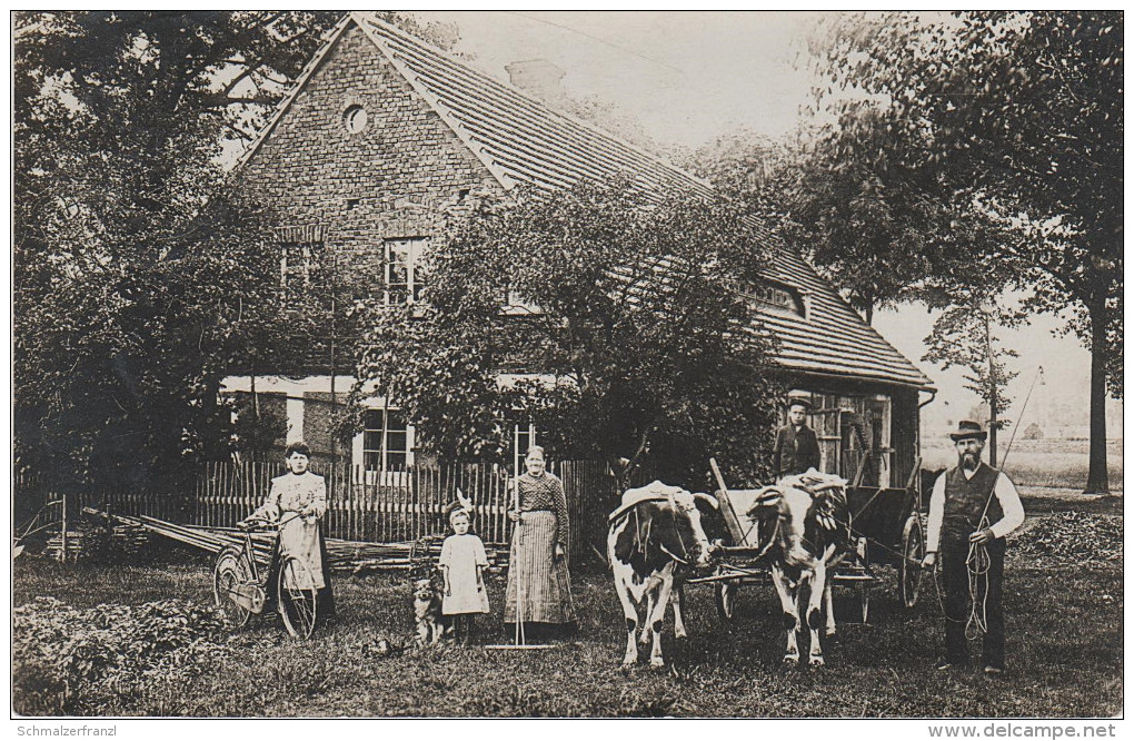 Foto AK Rabishau Stempel Rebiszow Haus Familie Baumert ? Bei Friedeberg Queis Mirsk Flinsberg Greiffenberg Langwasser - Schlesien