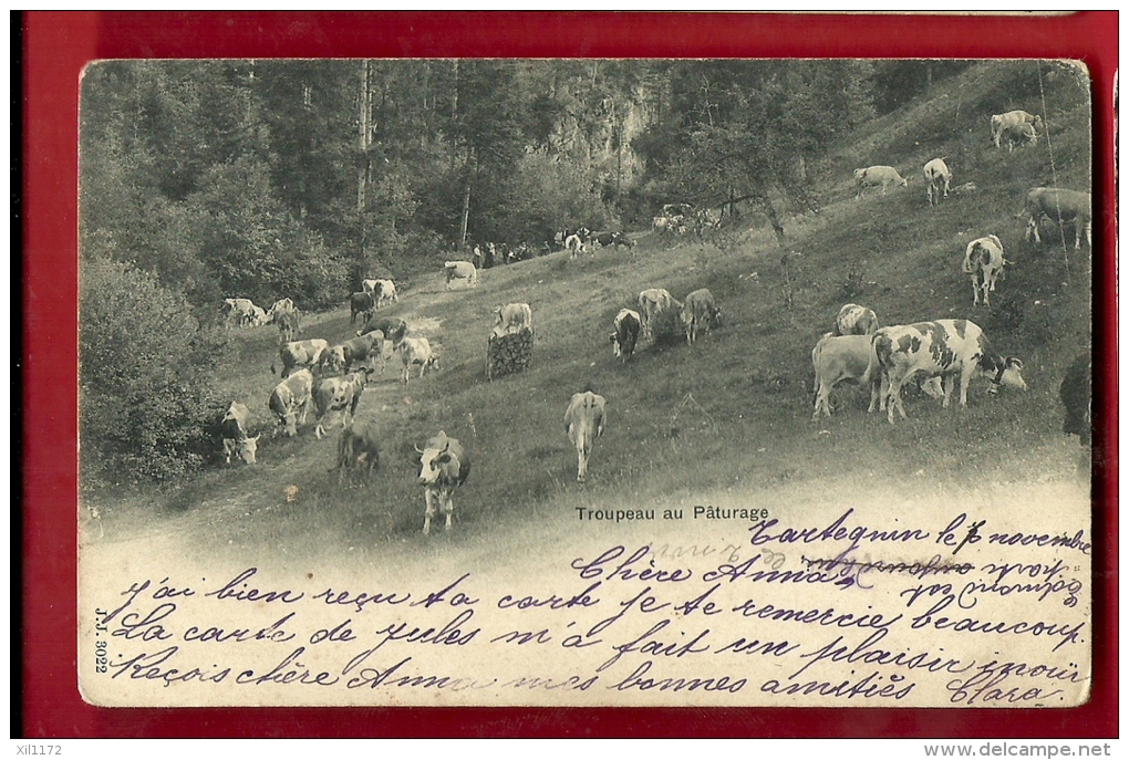 FXA-16 Troupeau De Vaches Au Pâturage, Jura Vaudois, Lieu à Déterminer.Précurs. Cachets Vaulion Et Rolle 1901 - Rolle