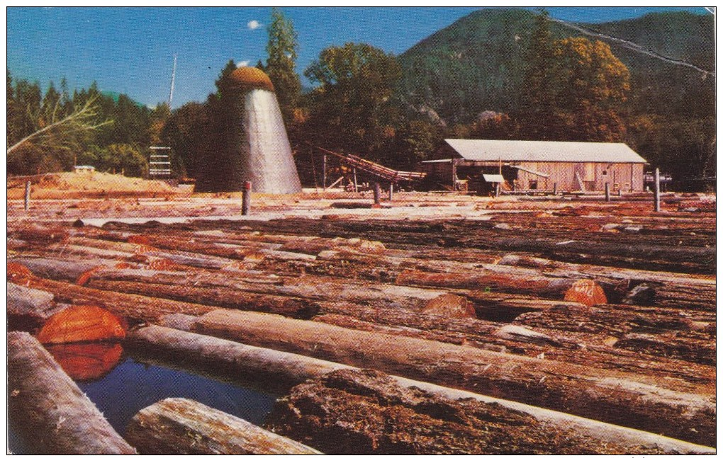 Sawmill, Lumbering, Forestry, QUESNEL BC, CARIBOO, BRITISH COLUMBIA, Postcard, CANADA, Post Card, Carte Postale - Other & Unclassified