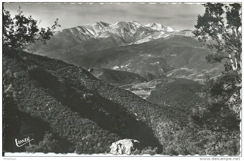 CP AMELIE-les-BAINS-PALALDA (66), Environs D'Amélie-les-Bains : Le Massif Du Canigou - Sournia