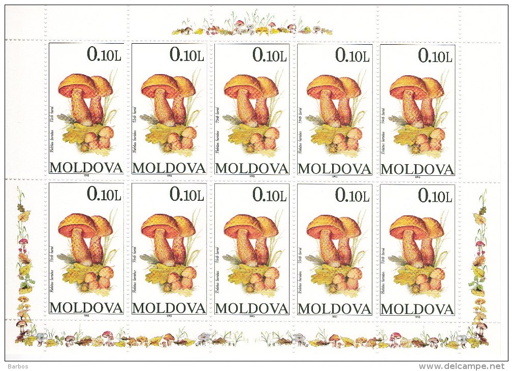 Moldova  ;   Moldavie ;  Moldau  ; 1995 ; Mushrooms  ; 1 Sheetlet ; MNH - Moldova