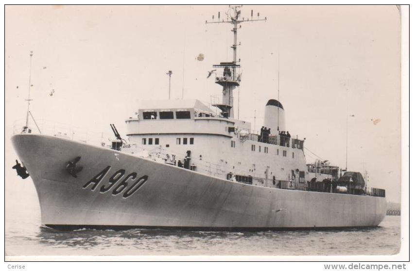 Force Navale Belge - Belgische Zeemacht: Godetia A 960 - Guerre