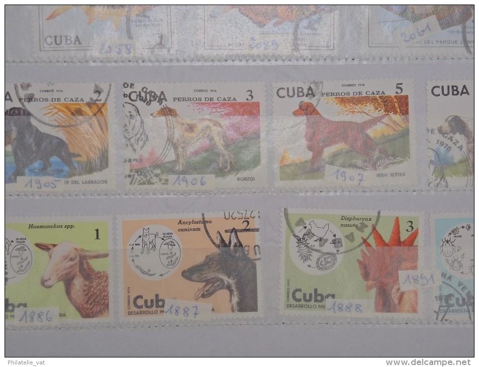 CUBA - Petite collection à étudier - Petit prix - A voir - Lot n° 9372