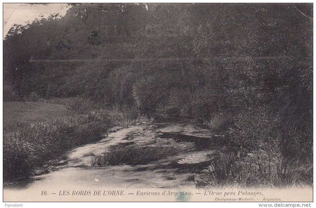 Cp , 61 , ARGENTAN , Environs , Les Bords De L'Orne Près Putanges - Argentan