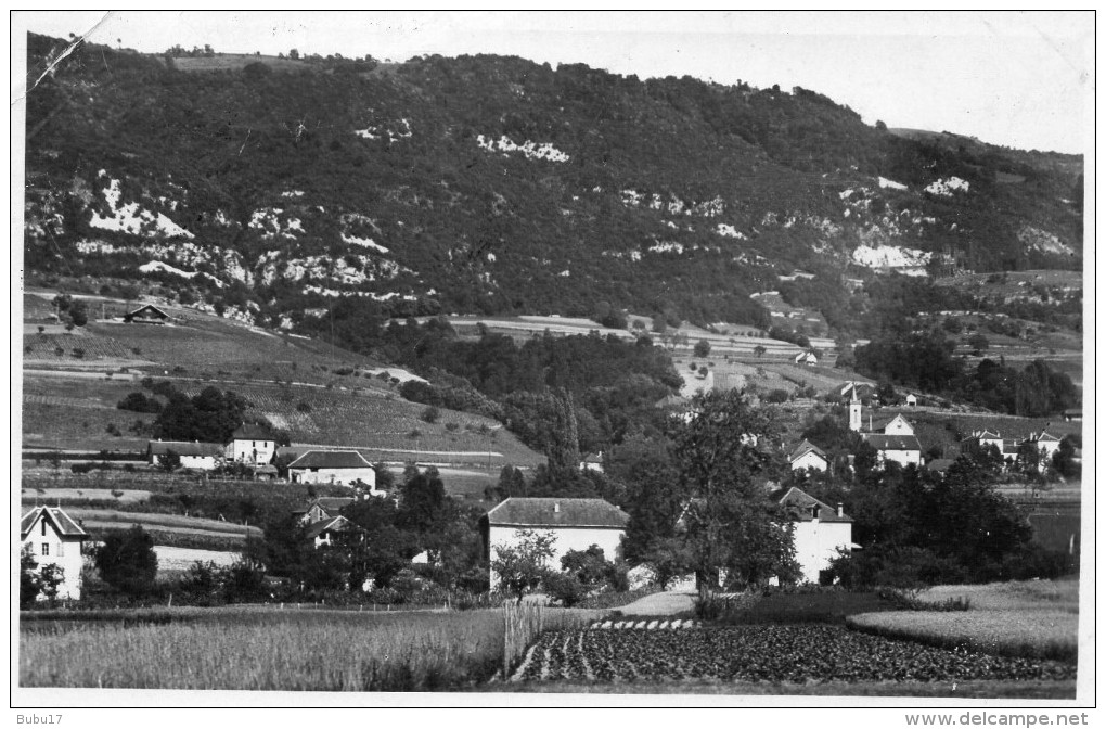 VUE GENERALE - Ruffieux