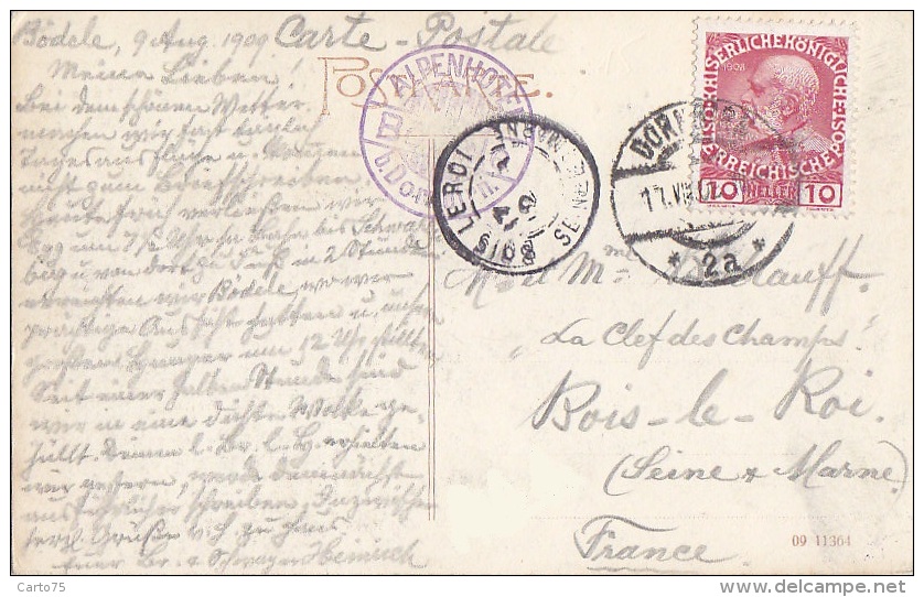 Autriche - Bödele - Alpenhôtel - Passhöhe Dornbirn - Schwarzenberg -   Postmarked Dornbirn 1909 - Dornbirn