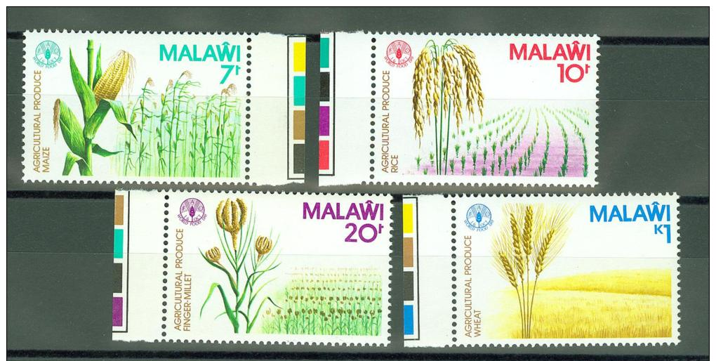 MALAWI  1981 # Yvert 370/373 ** FULLSET MAIS RICE MILLET FOOD AGRICULTURE (1267 - Malawi (1964-...)