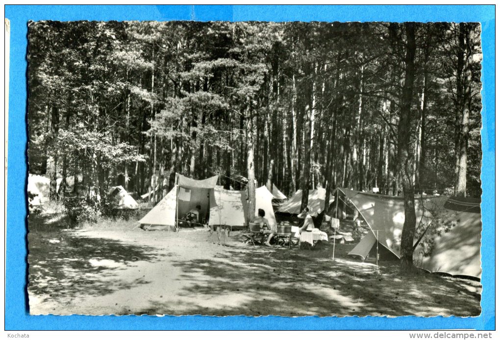 GGE079, Camp VD 8, Pointe D'Yvonand, Camping, Animée,  Circulée 1953 - Yvonand