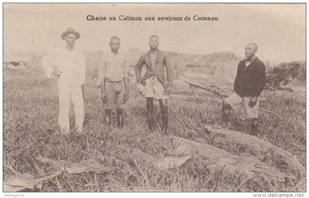 Chasse Au Caïman Aux Environs De Cotonou - Benin