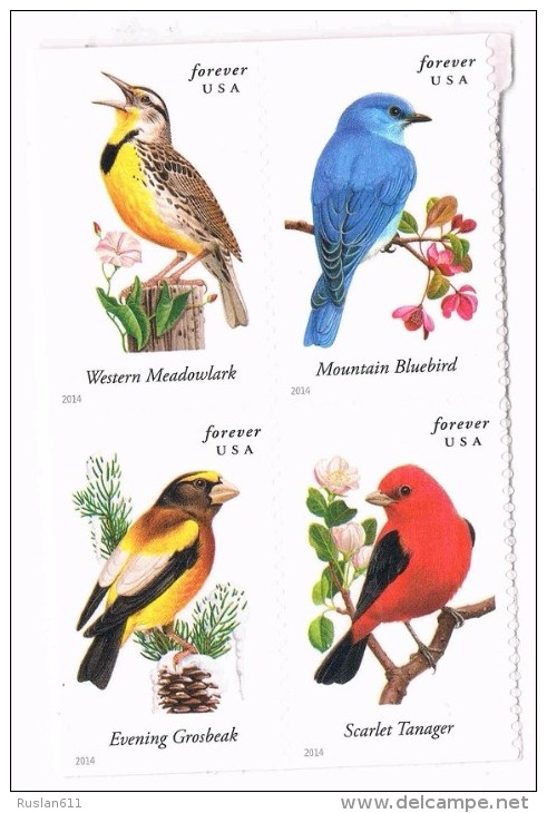 USA 2014 Songbirds 0.49c X 4  MNH ** - Unused Stamps