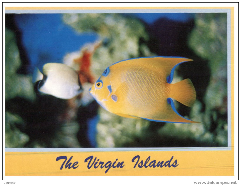 (864) Virgin Island - Fish - With Barbados Stamp - Jungferninseln, Amerik.