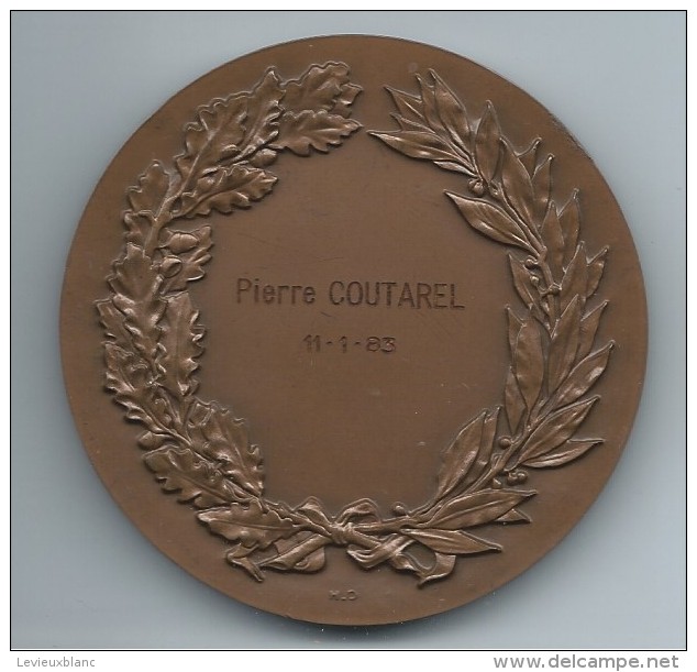 Médaille Communale /Ville D´Istres/Bouches Du Rhône/Bronze//1983    MED25 - Professionals / Firms