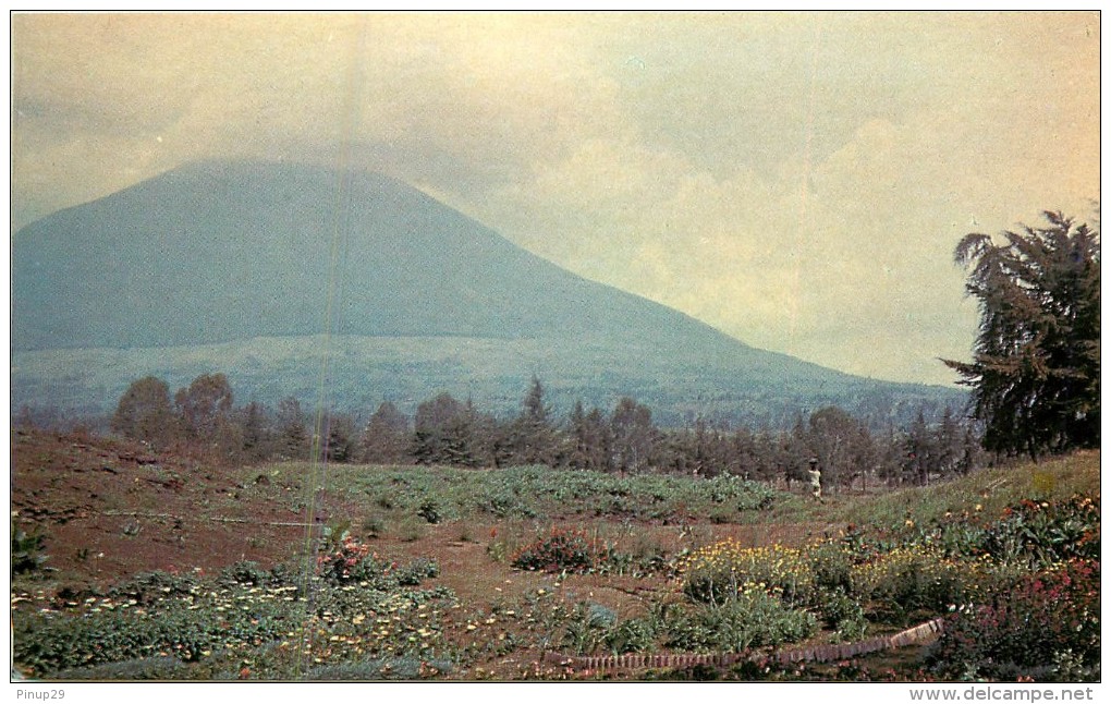 VOLCAN  MUHABURA - Rwanda