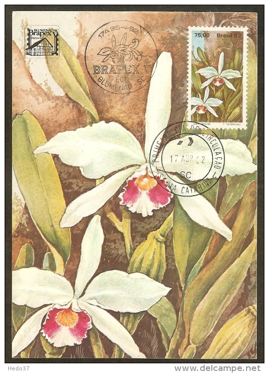 BRESIL Carte Maximum - Laelia Purpurata - Maximum Cards