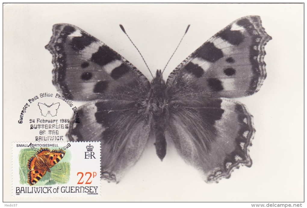 GB.GUERNESEY Carte Maximum - Aglais Urticae - Guernesey