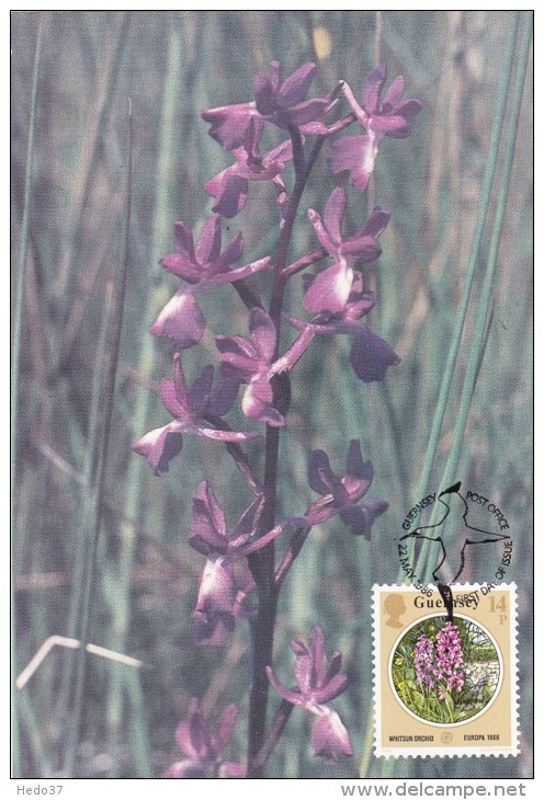 GB.GUERNESEY Carte Maximum - Orchidée - Guernesey