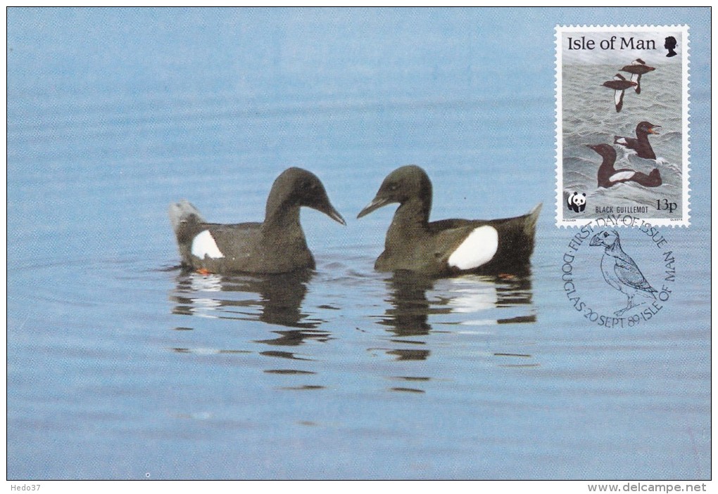 GB.MAN Carte Maximum - Black Guillemots - Man (Ile De)